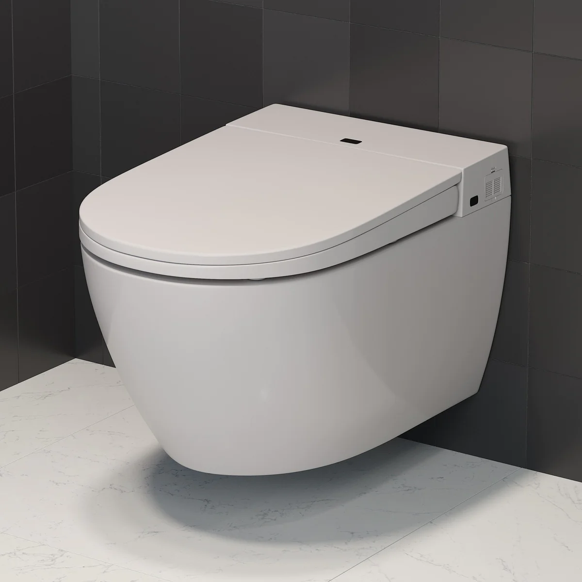 Wandhängendes Fjäll Bidet-WC